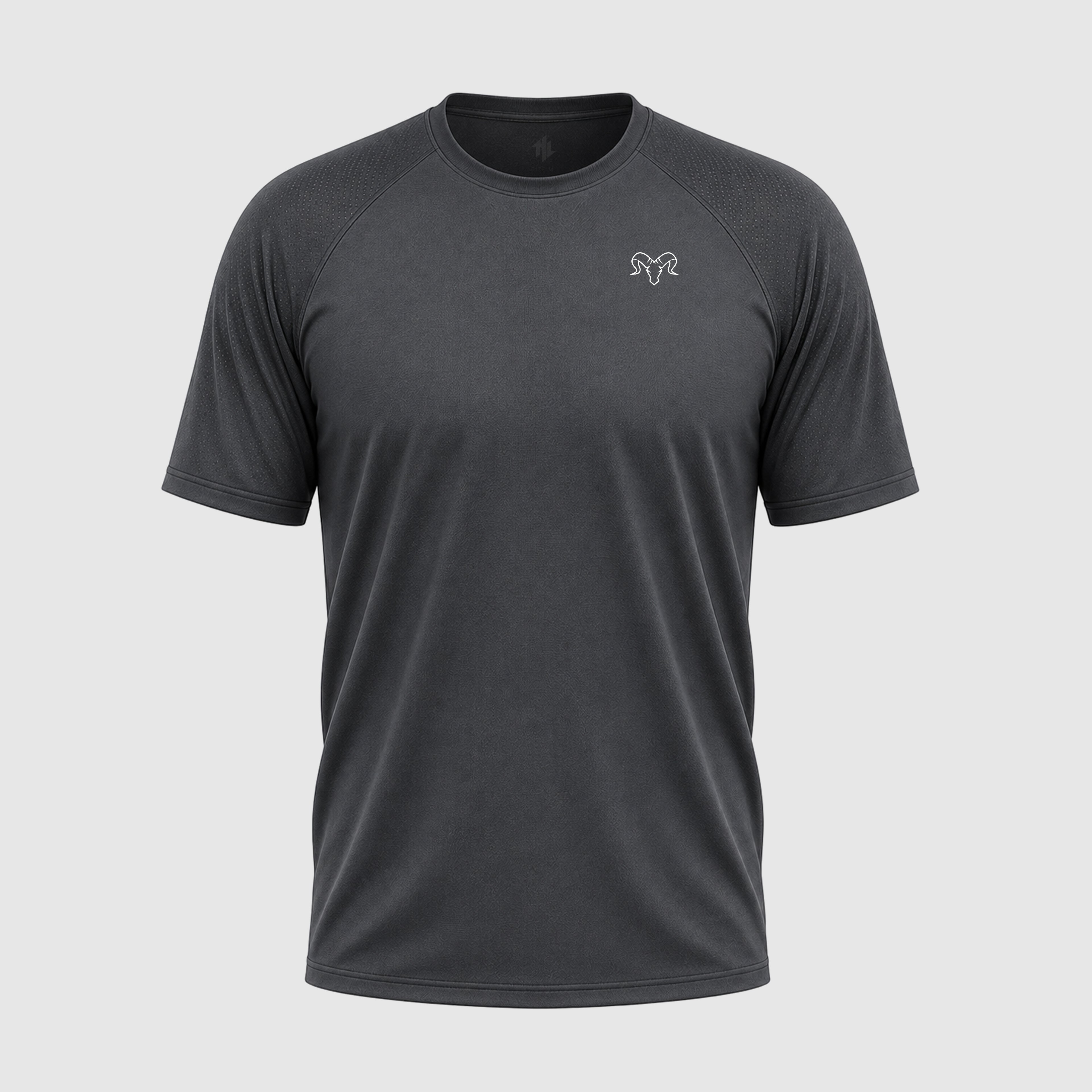 CAMISETA DRY FIT ''GOAT'' CINZA